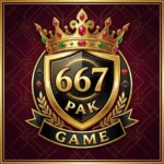 667PAK GAME