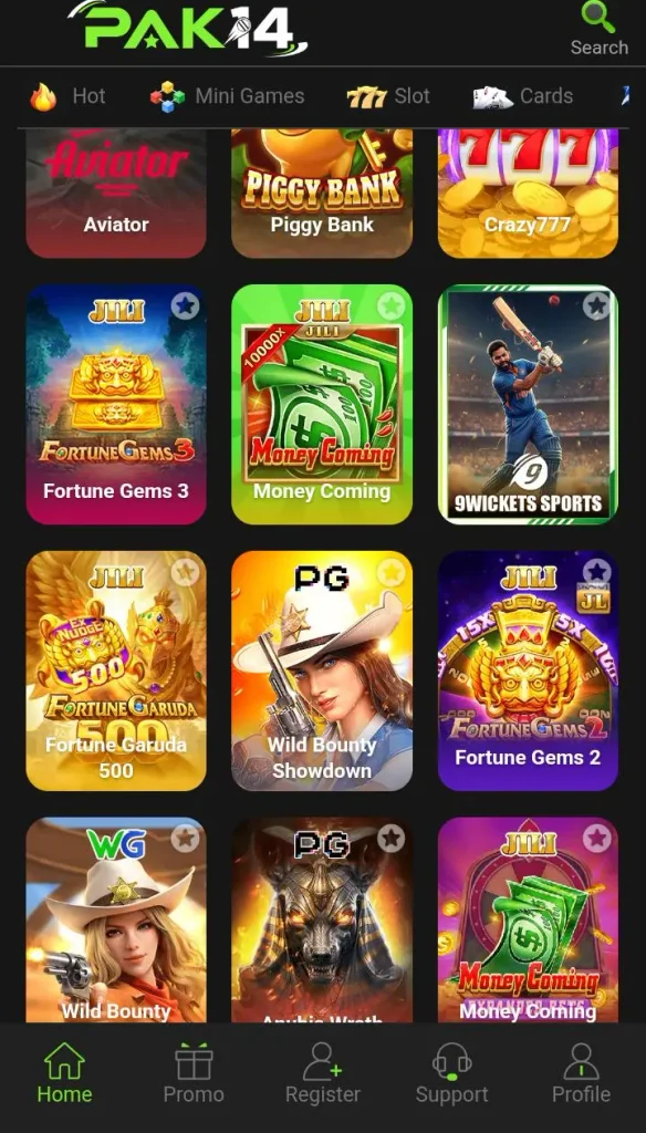 PAK14 Game
