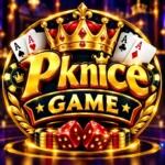 PKNICE Game